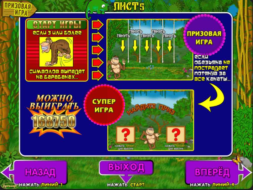 Бонусная игра Crazy Monkey